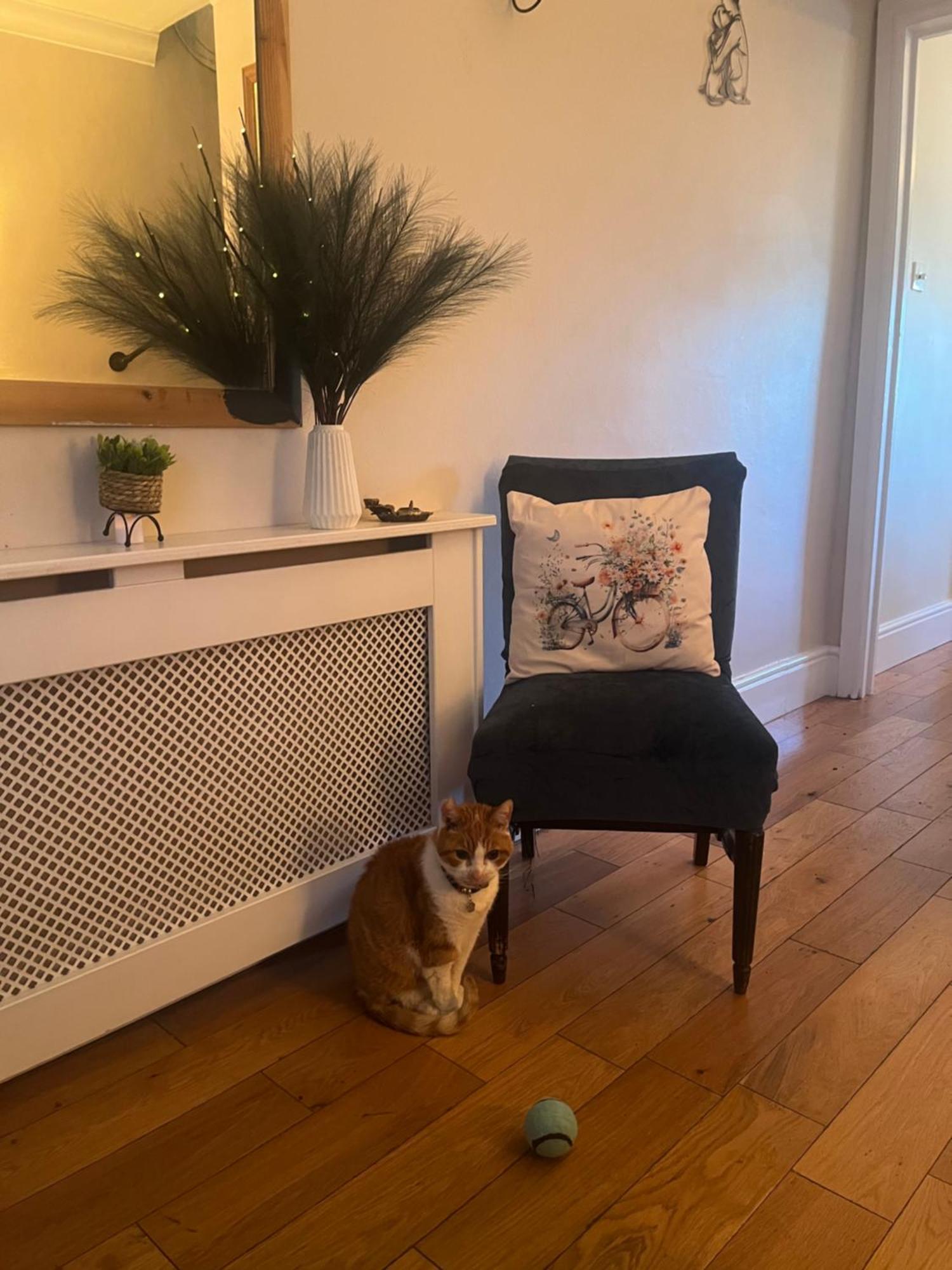 Cluaine Meala Séjour chez l'habitant